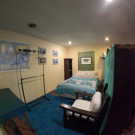 Neighbor Of Frida Khalo, Vintage Stay In Coyoacan مدينة مكسيكو المظهر الخارجي الصورة