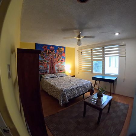 Neighbor Of Frida Khalo, Vintage Stay In Coyoacan مدينة مكسيكو المظهر الخارجي الصورة
