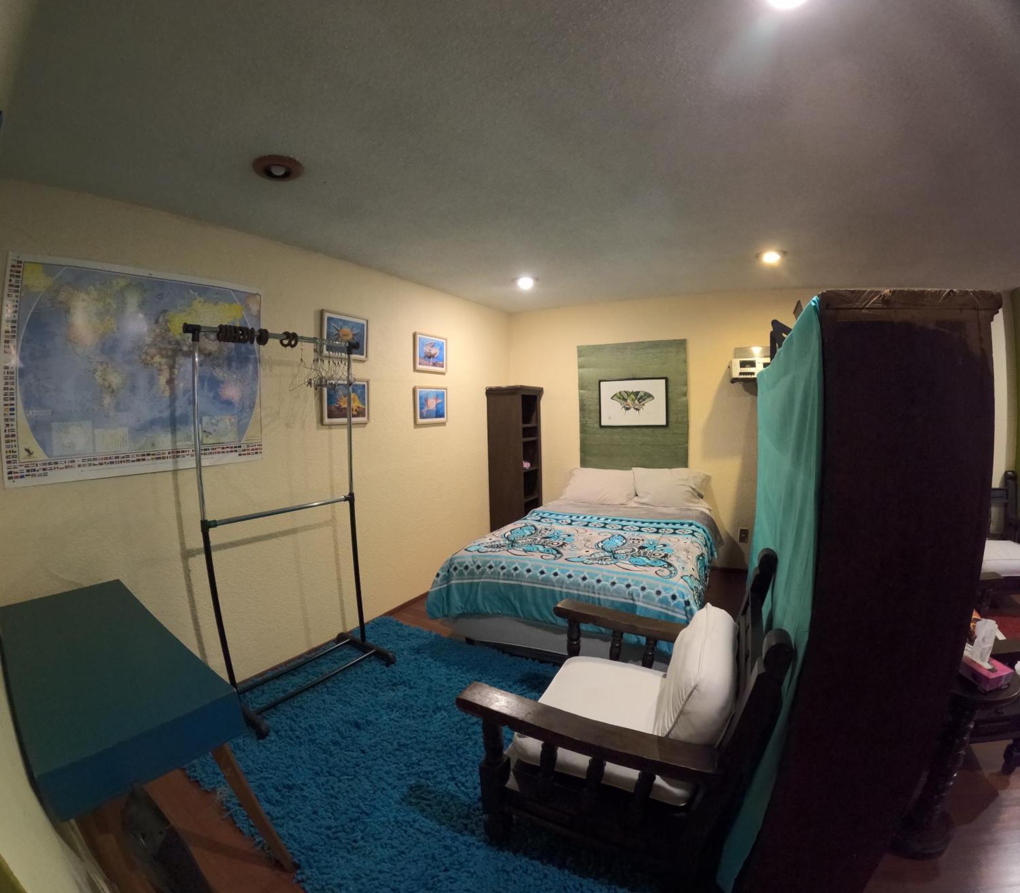 Neighbor Of Frida Khalo, Vintage Stay In Coyoacan مدينة مكسيكو المظهر الخارجي الصورة