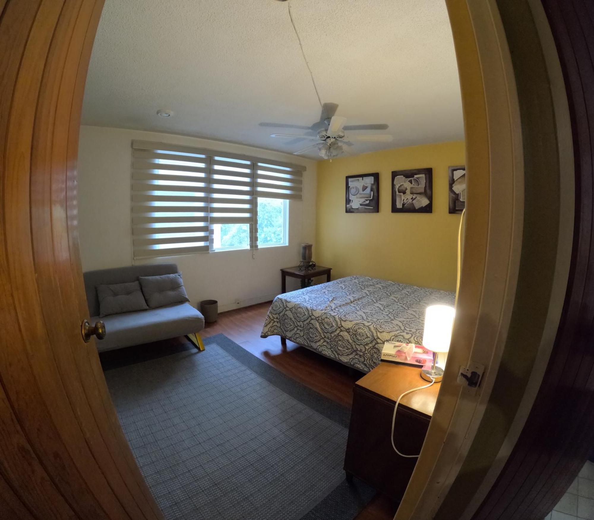 Neighbor Of Frida Khalo, Vintage Stay In Coyoacan مدينة مكسيكو المظهر الخارجي الصورة
