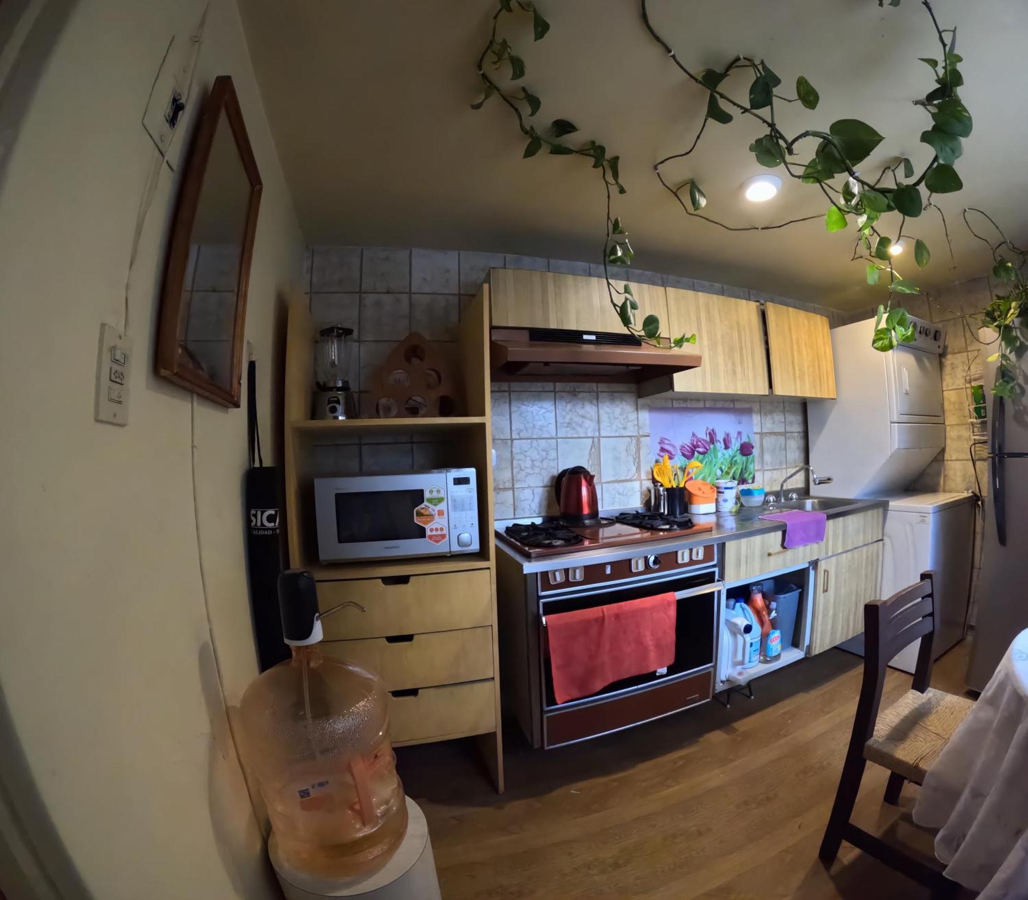 Neighbor Of Frida Khalo, Vintage Stay In Coyoacan مدينة مكسيكو المظهر الخارجي الصورة