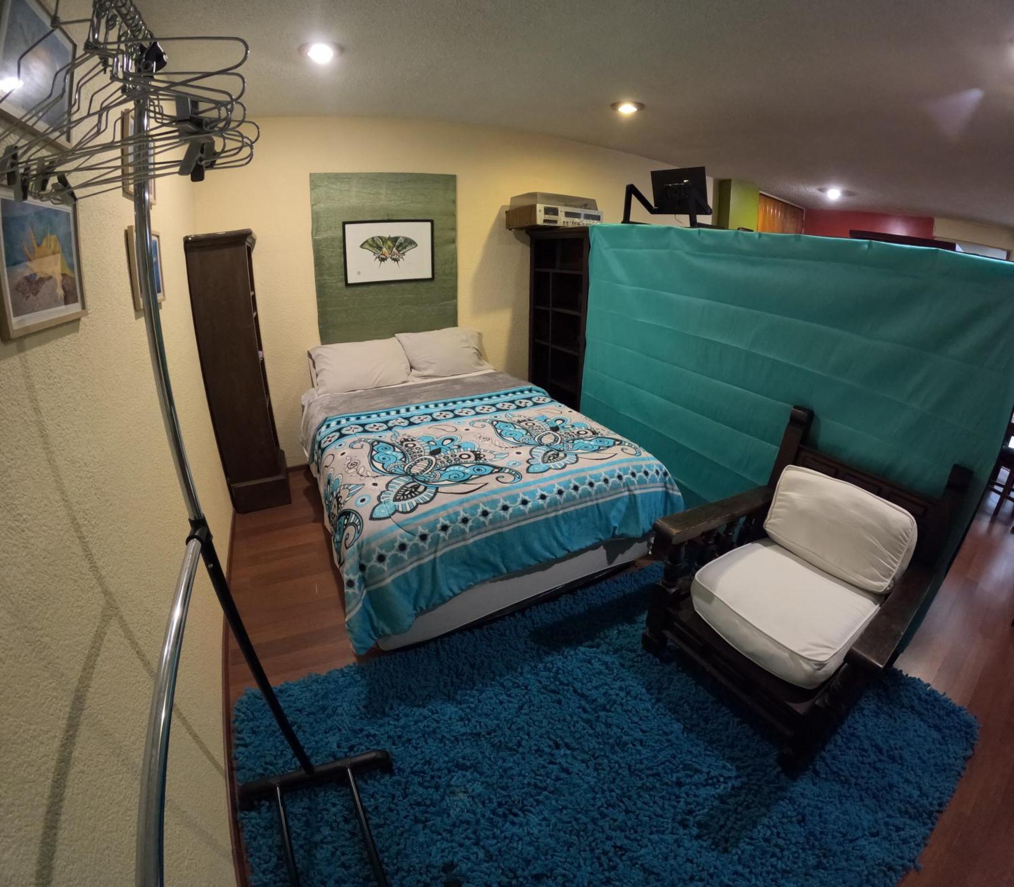 Neighbor Of Frida Khalo, Vintage Stay In Coyoacan مدينة مكسيكو المظهر الخارجي الصورة