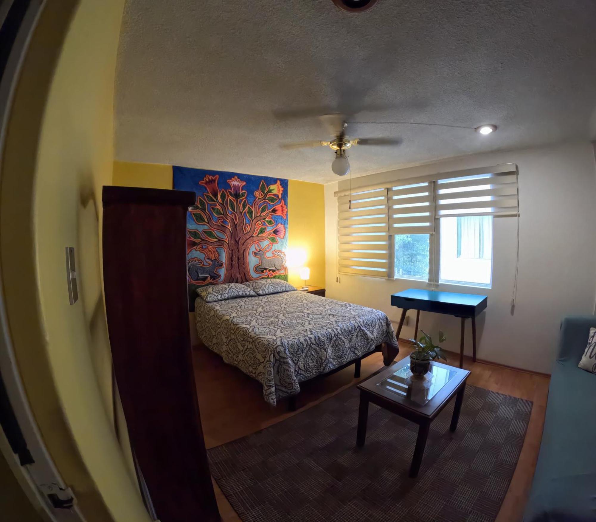 Neighbor Of Frida Khalo, Vintage Stay In Coyoacan مدينة مكسيكو المظهر الخارجي الصورة