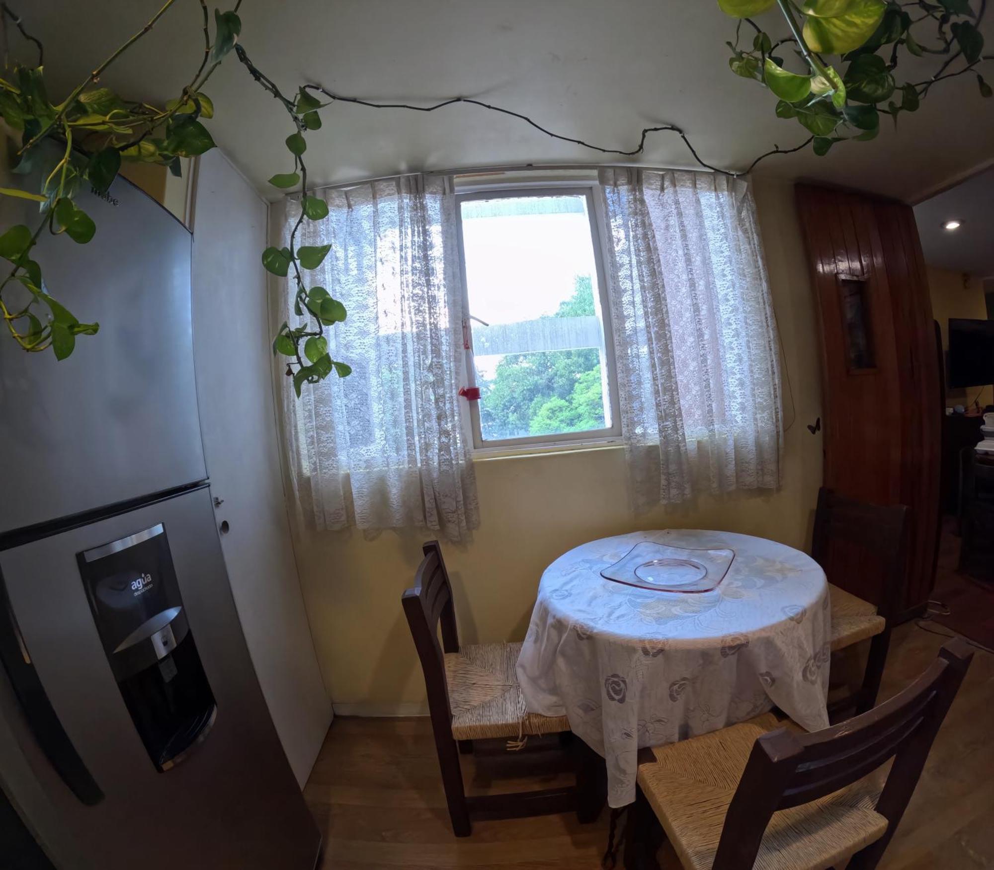 Neighbor Of Frida Khalo, Vintage Stay In Coyoacan مدينة مكسيكو المظهر الخارجي الصورة